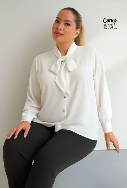 Picture of CURVY GIRL ELEGANT BLOUSE WITH BOW